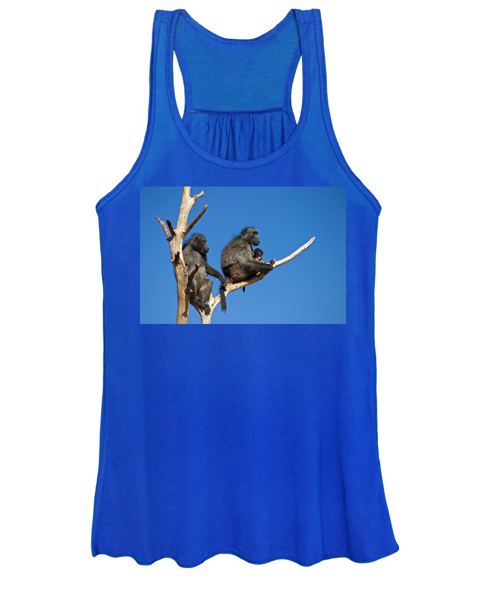 Baboon Women's Tank Top featuring the photograph Baboon Family Namibia by David Kleinsasser
