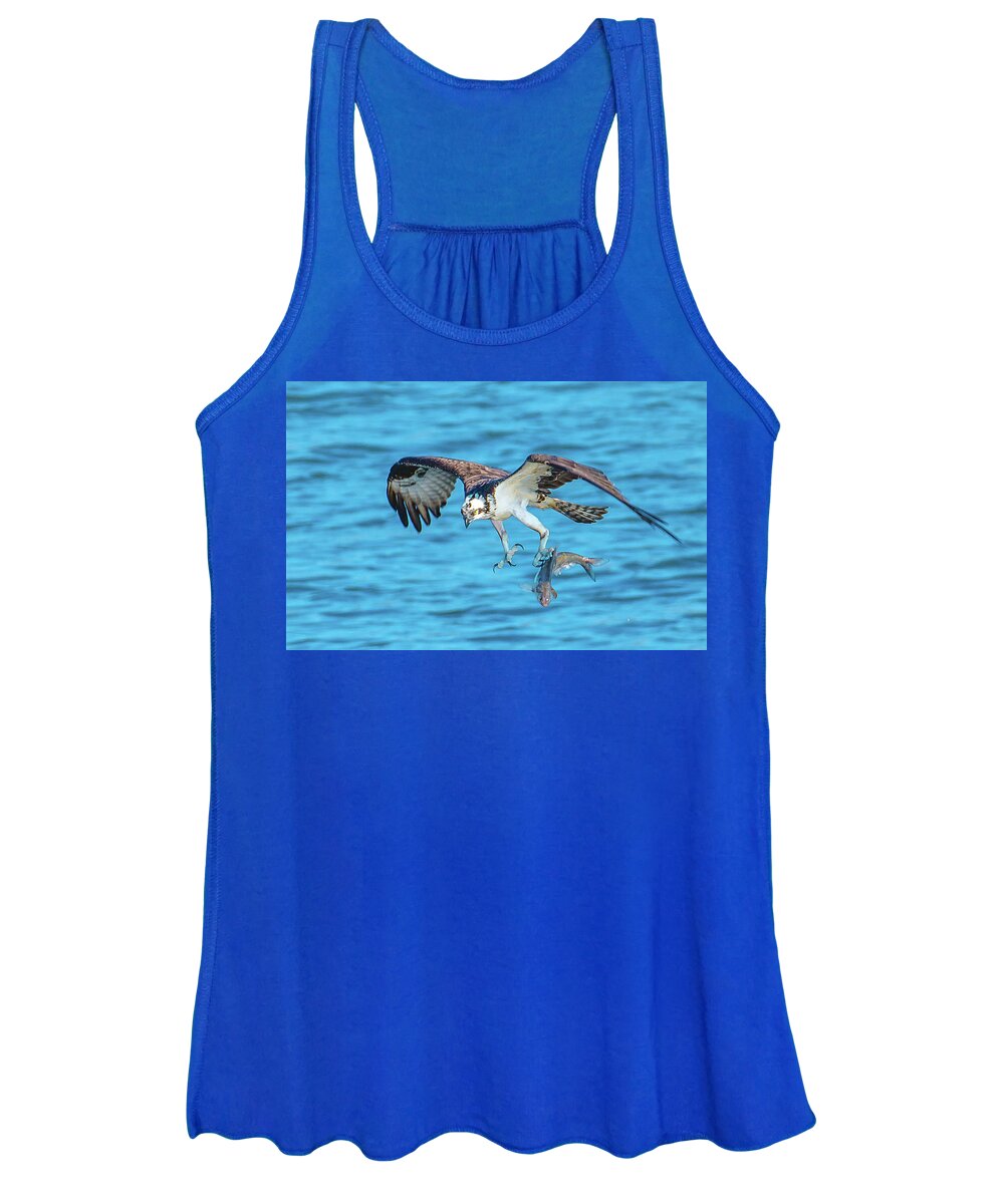 20170318 Women's Tank Top featuring the photograph Best Osprey with Fish in One Talon by Jeff at JSJ Photography