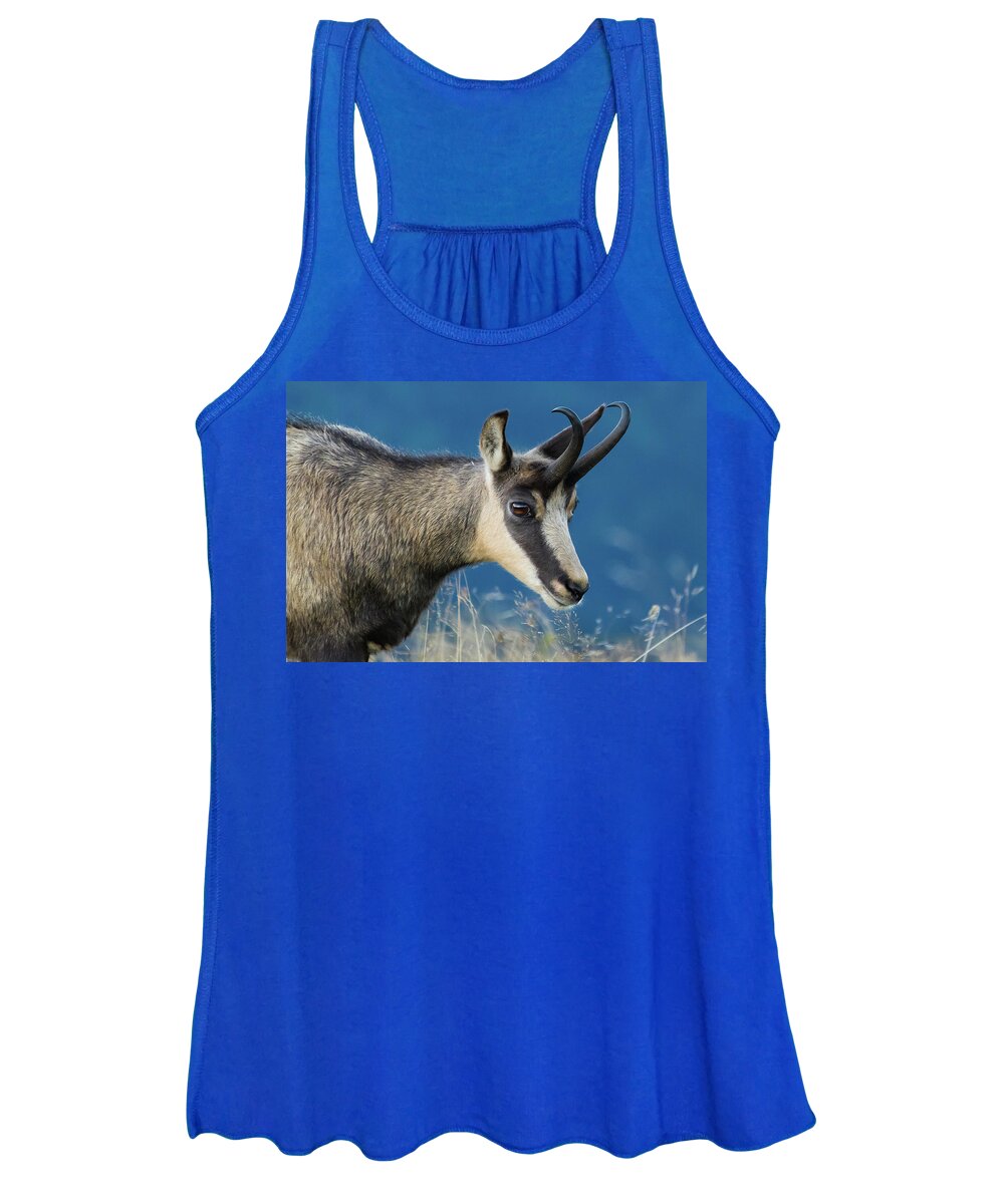Chamois Women's Tank Top featuring the photograph Chamois by Paul MAURICE