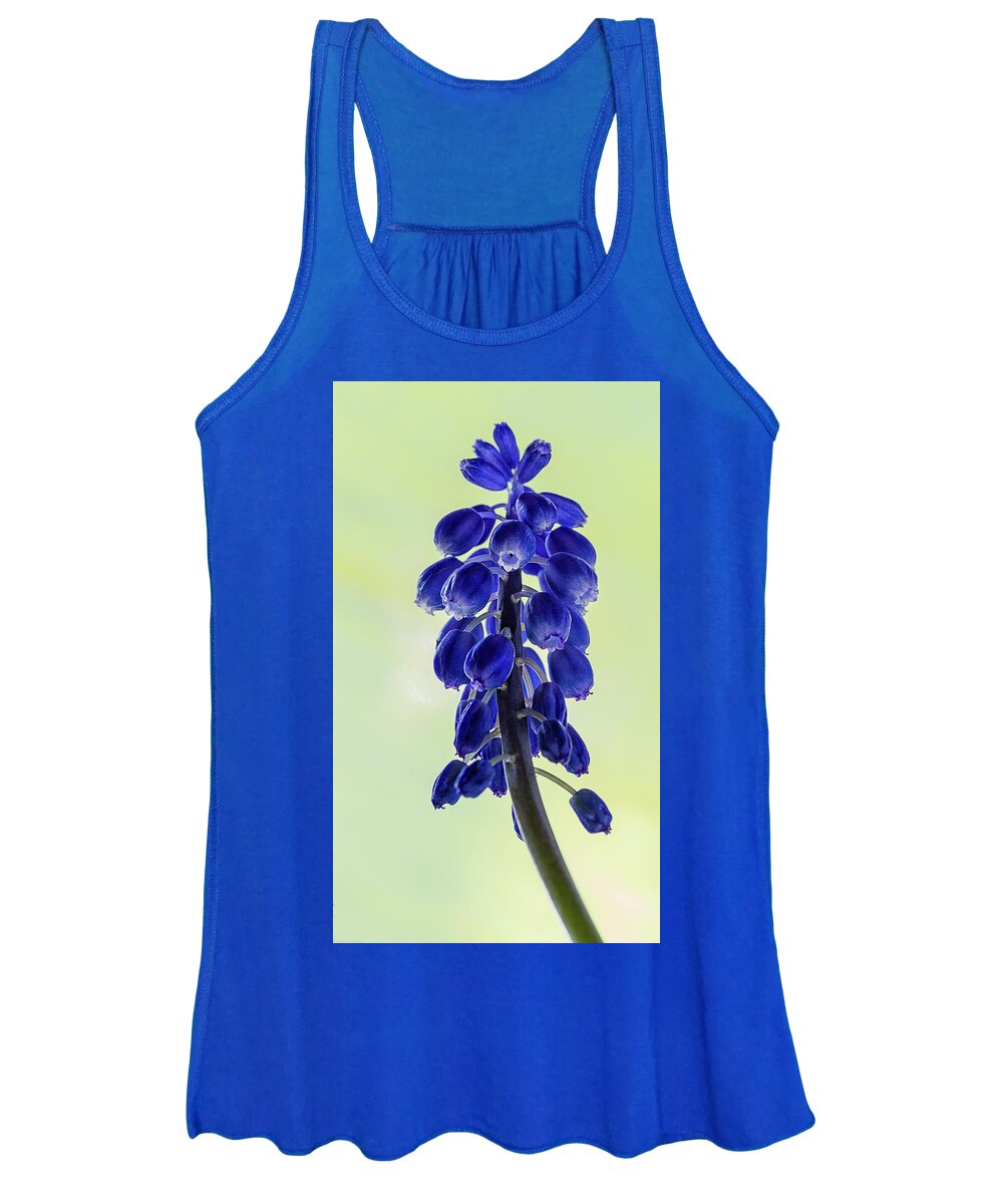 Flower Women's Tank Top featuring the photograph Grape Hyacinth by Shirley Mitchell