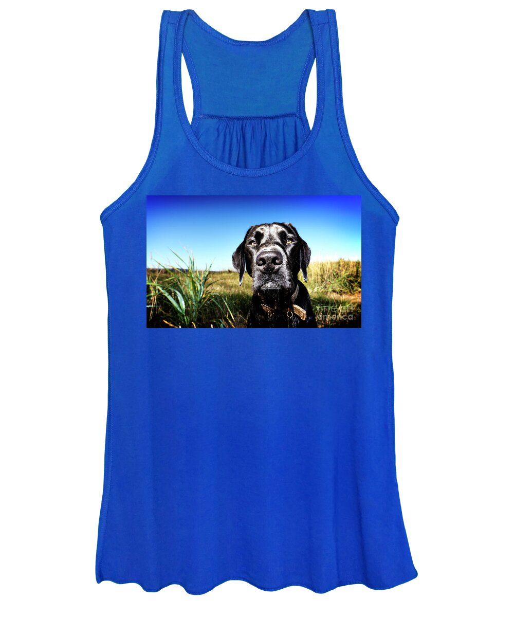 Black Lab Women's Tank Top featuring the photograph Portrait of a Black Lab by Phill Thornton