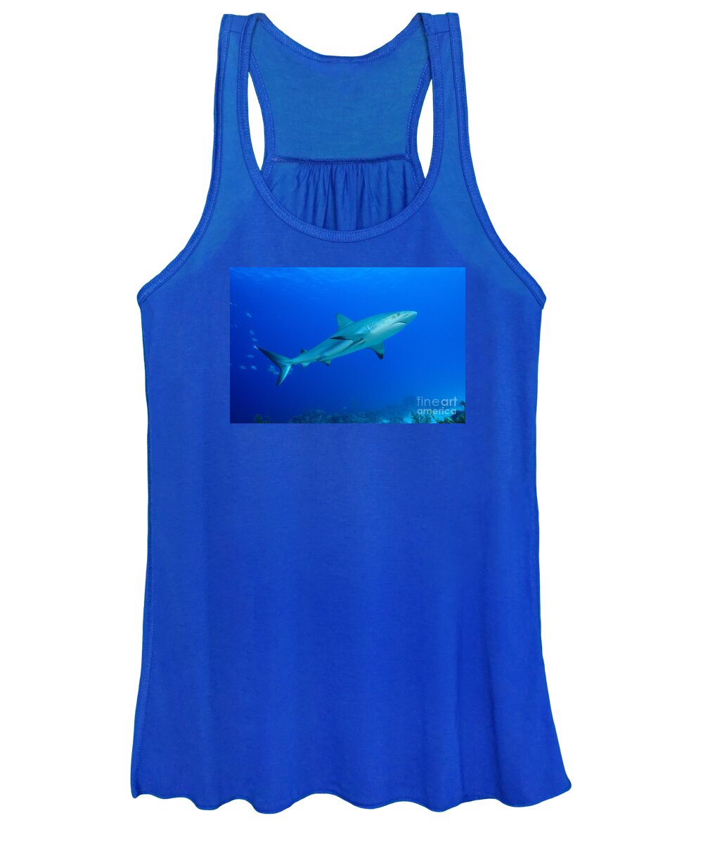 Caribbean Reef Shark. Carcharhinus Perezi Women's Tank Top featuring the photograph Out Of The Blue by Aaron Whittemore