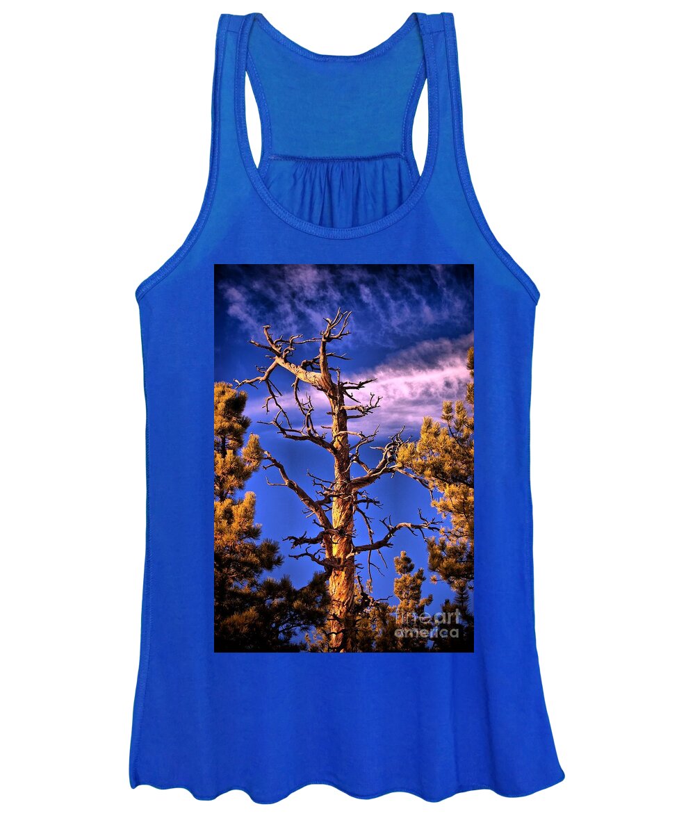 Lurker Women's Tank Top featuring the photograph The Lurker by Charles Dobbs