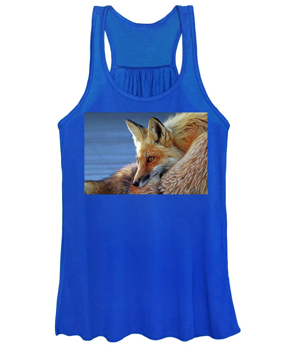 Fox Women's Tank Top featuring the photograph Comfy Fox by Debbie Oppermann