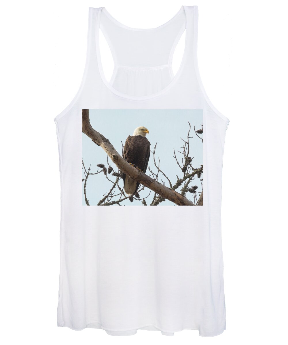 Bald Eagle Women's Tank Top featuring the photograph Resting Bald Eagle by Patricia Schaefer