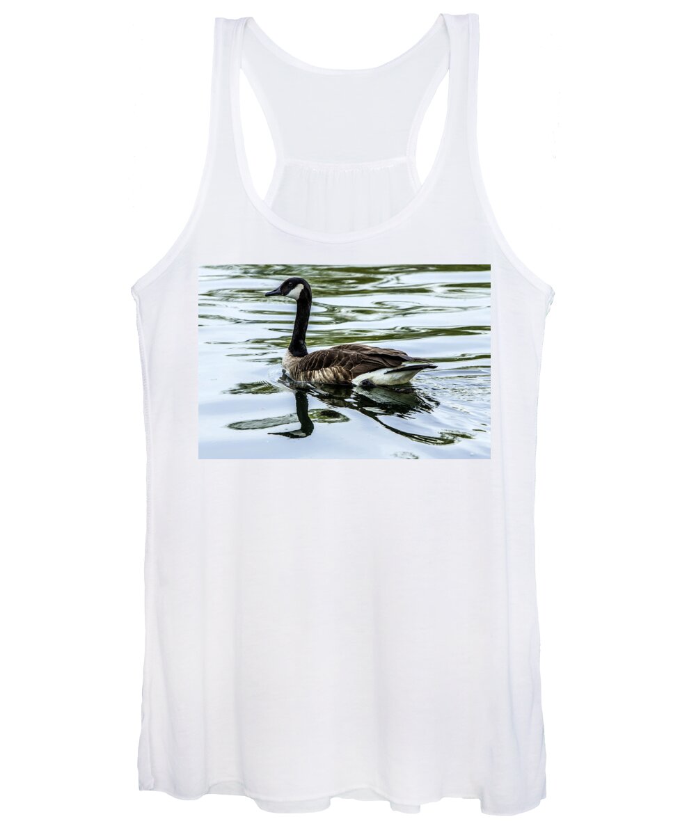 Goose Women's Tank Top featuring the photograph Canada Goose by Diana Powell