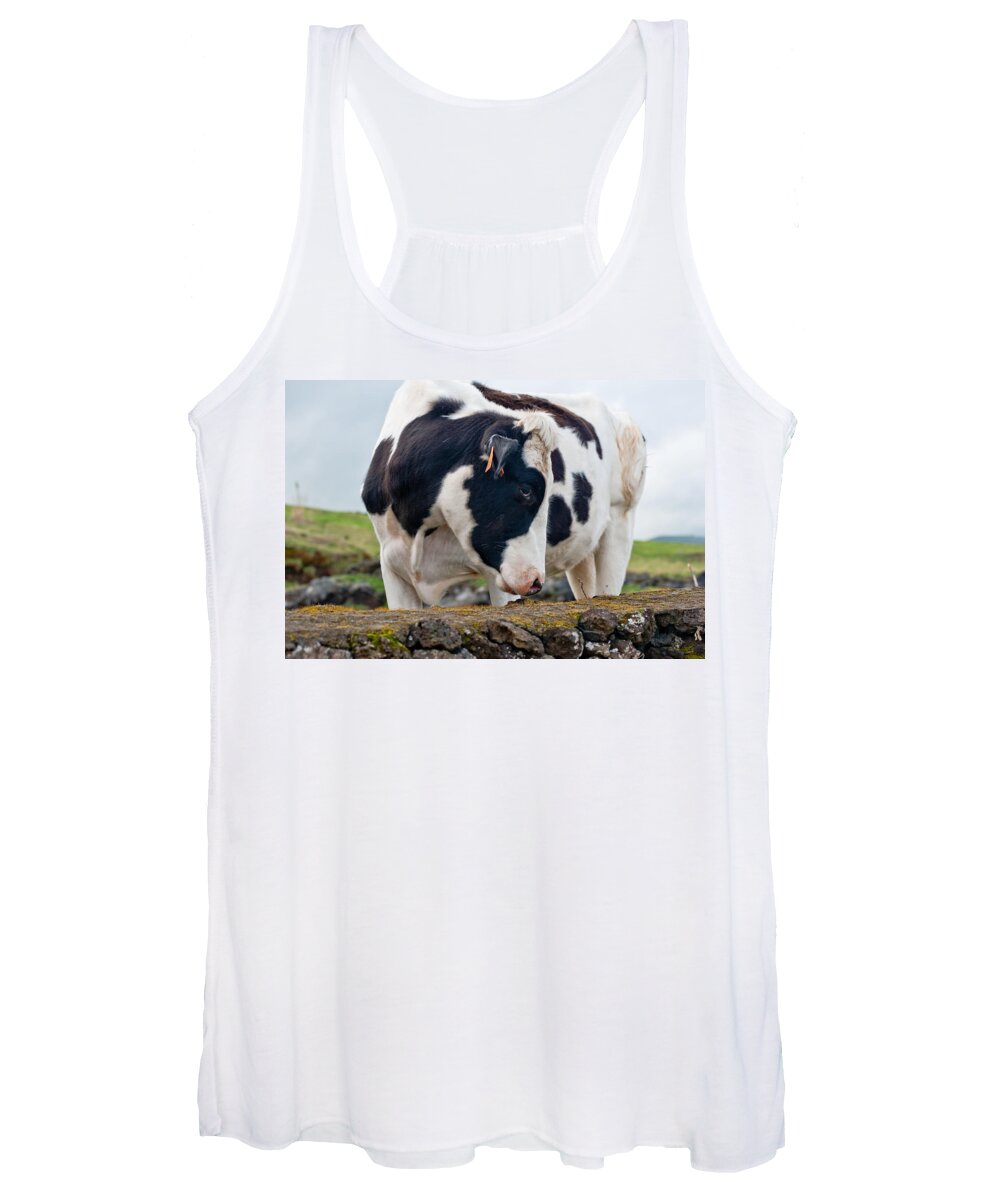 Agriculture Women's Tank Top featuring the photograph Cow With Head Turned by Joseph Amaral