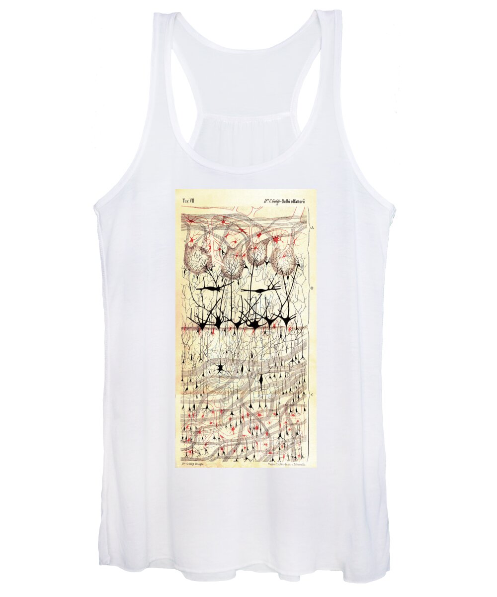 Golgi Women's Tank Top featuring the photograph Golgi Olfactory Bulb of Dog by Science Source