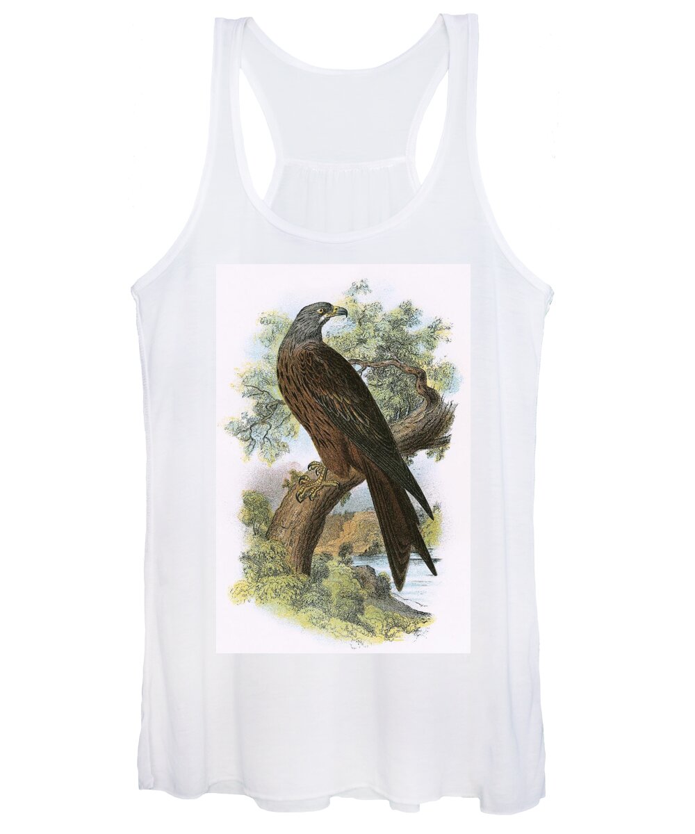British Birds Women's Tank Top featuring the photograph Kite by English School