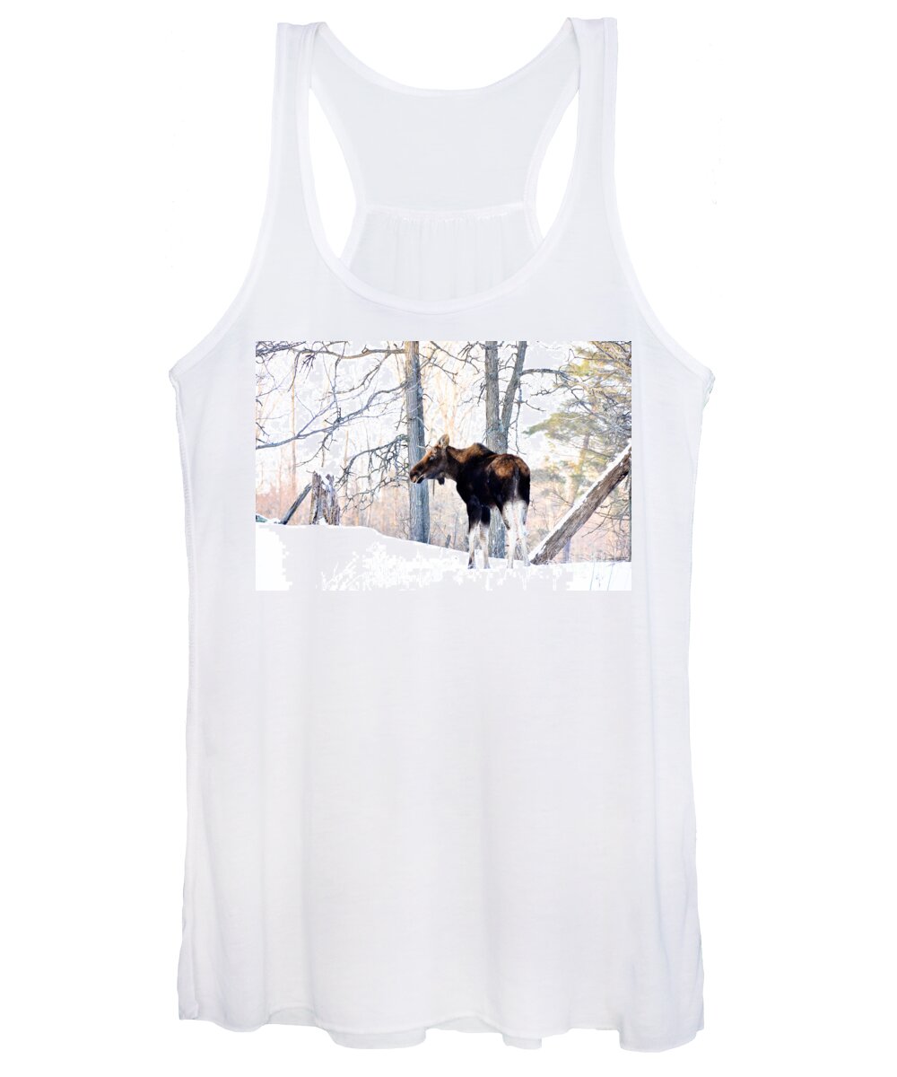 Moose Women's Tank Top featuring the photograph Mr. Moose by Cheryl Baxter