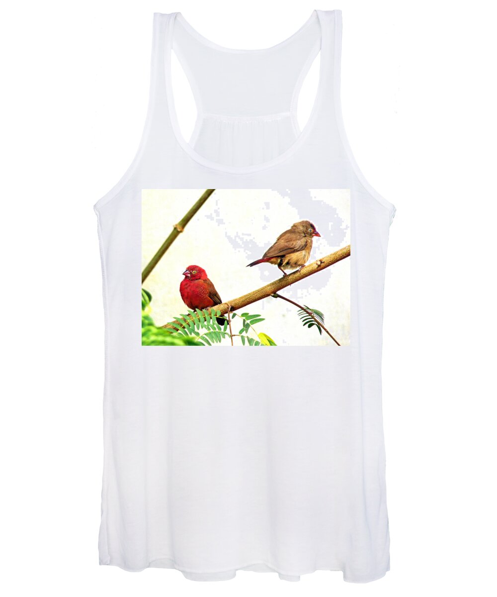 Birds Women's Tank Top featuring the photograph Pair of Red-billed firefinches by Tony Murtagh