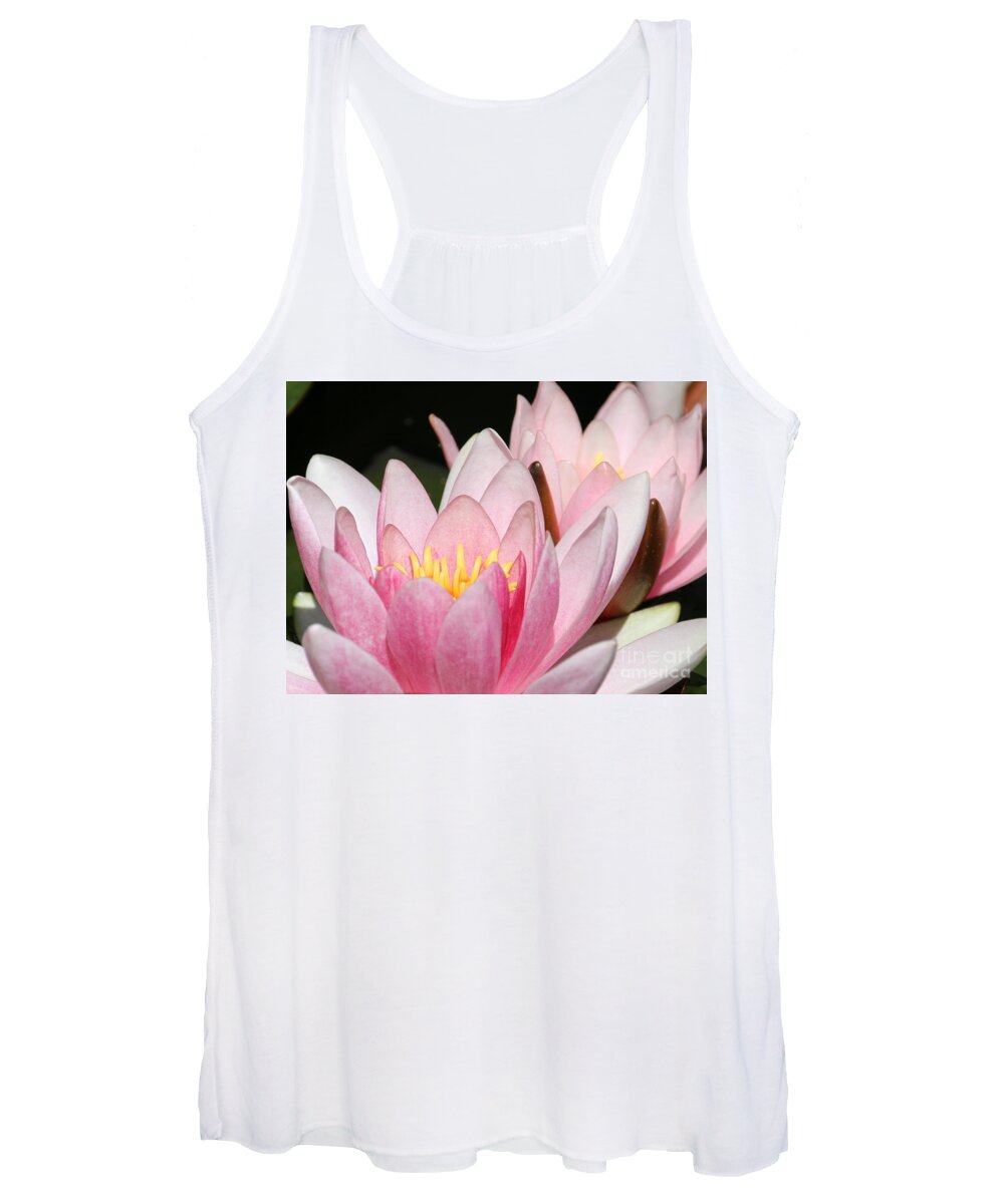 Lilies Women's Tank Top featuring the photograph Pink Water Lily by Amanda Mohler