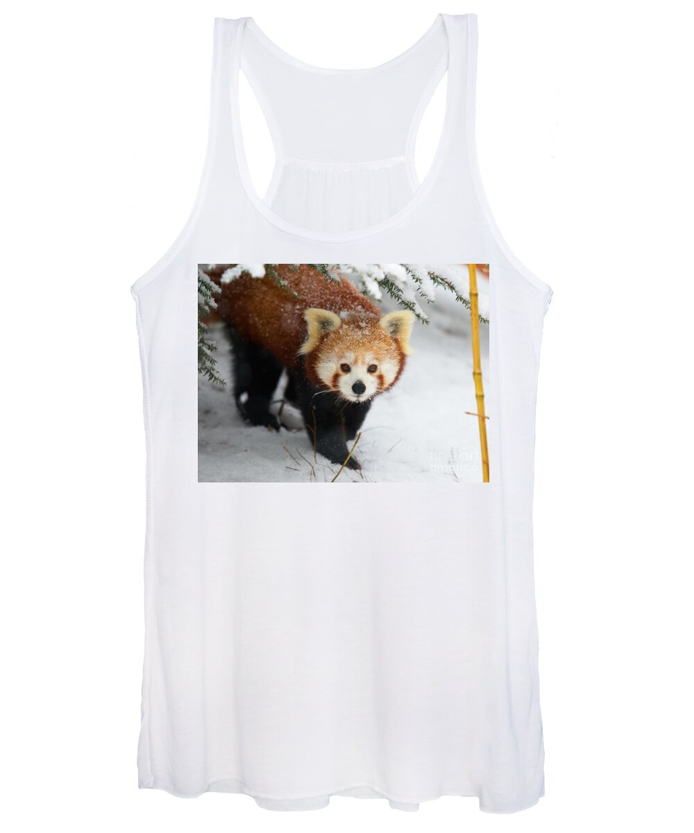Ailurus Fulgens Women's Tank Top featuring the photograph Red Panda in the snow by Nick Biemans