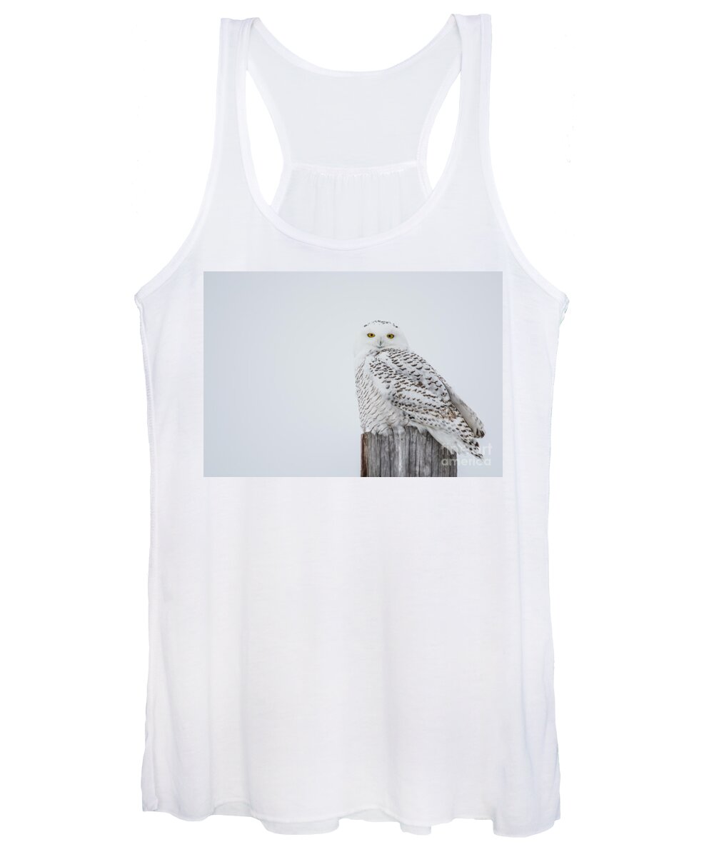 Snowy Owl Women's Tank Top featuring the photograph Snowy Owl Perfection by Cheryl Baxter