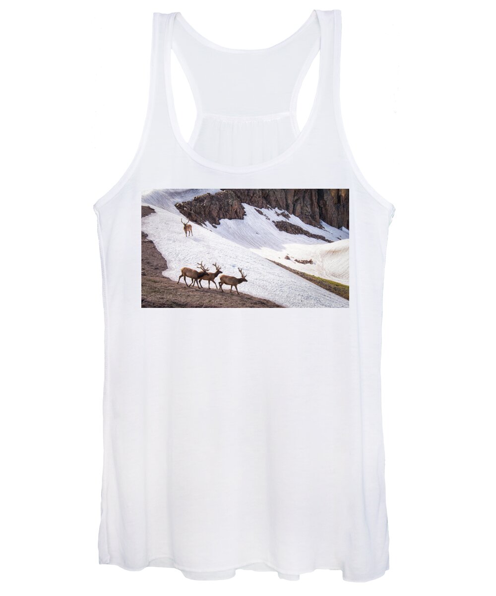 Colorado Women's Tank Top featuring the photograph The Wanderers by Joe Ownbey