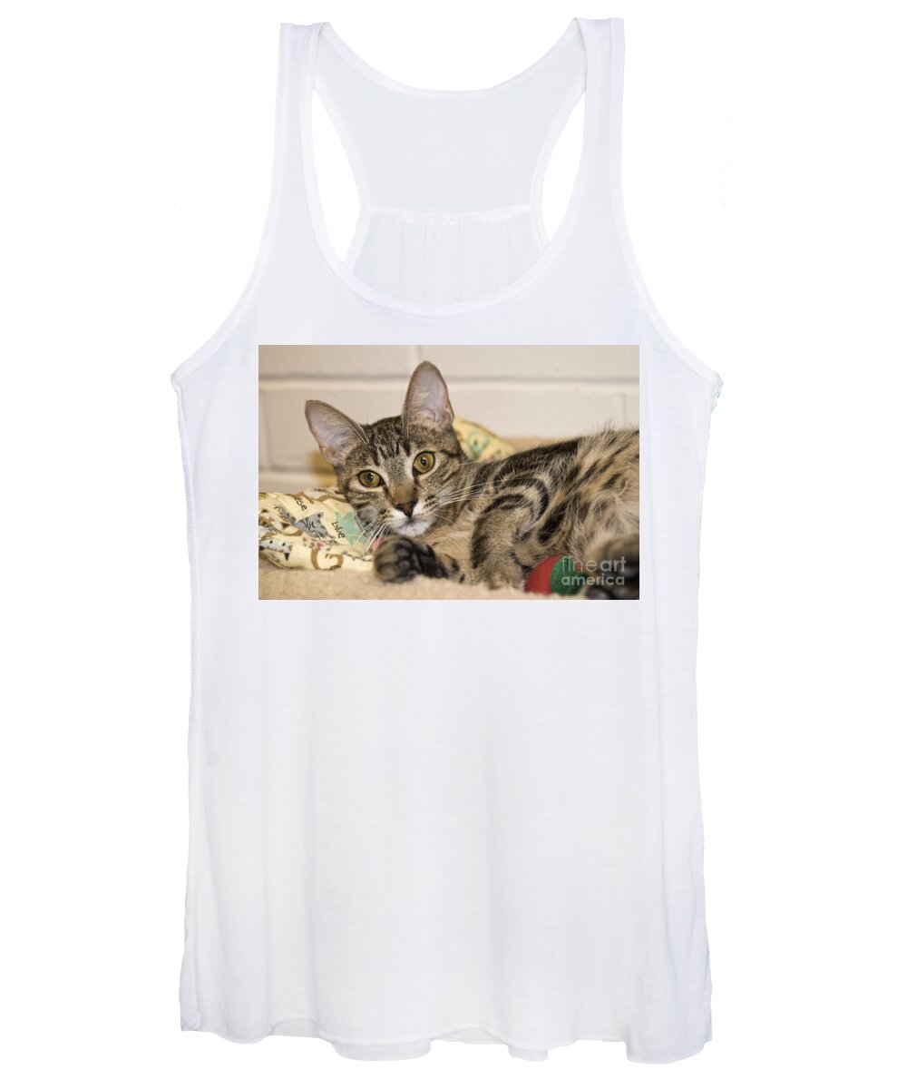 Cats Women's Tank Top featuring the photograph Wilkie by John Greco