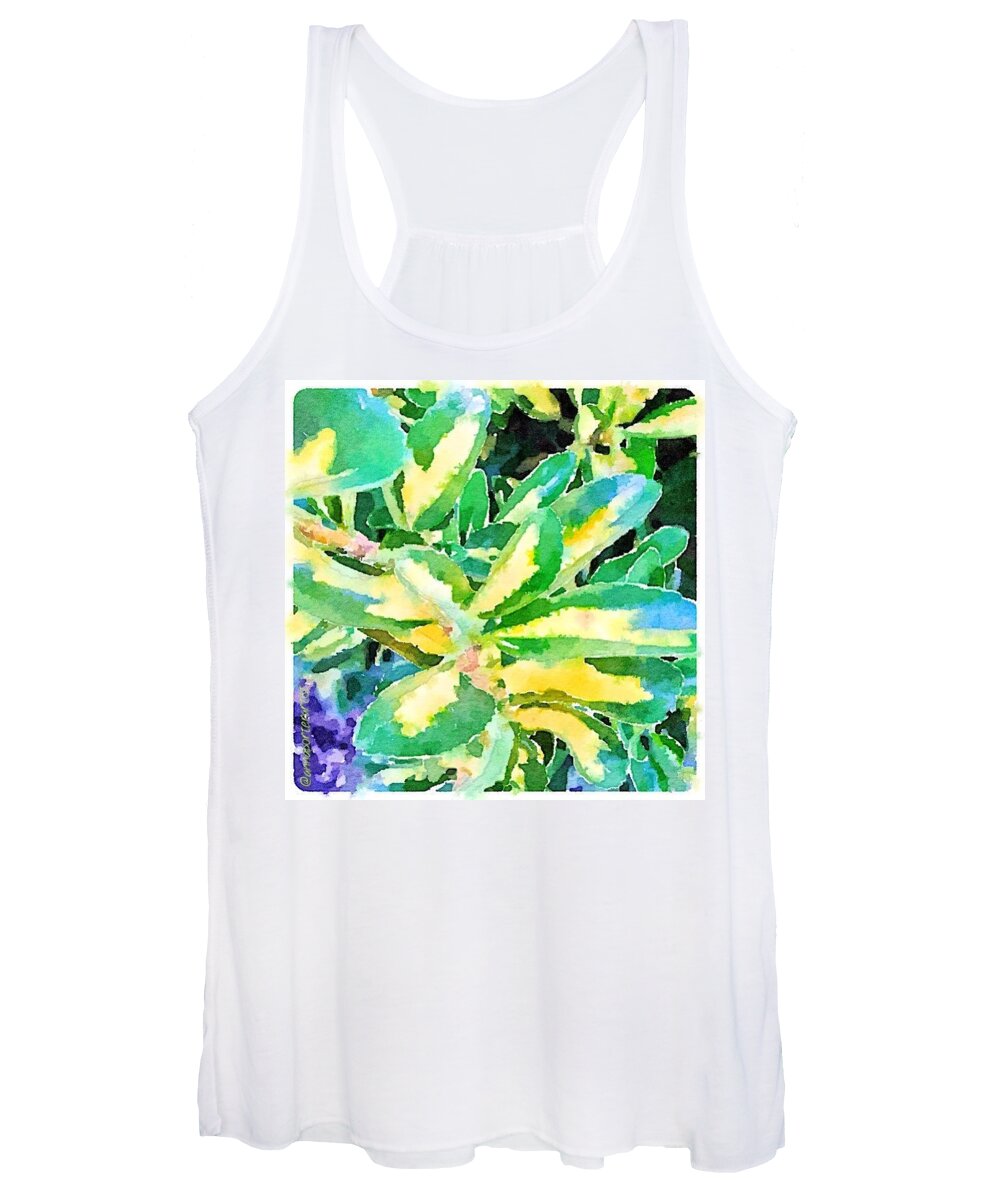 Yellows_up Women's Tank Top featuring the photograph Winter Greens, Digital Painting In by Anna Porter