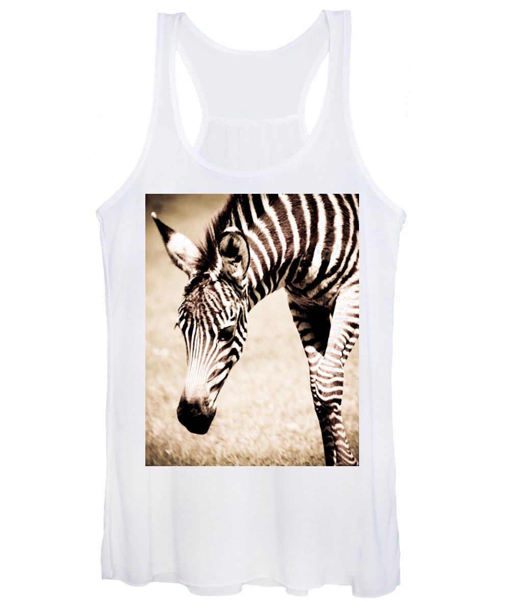 Zebra Women's Tank Top featuring the photograph Zebra Foal Sepia Tones by Maggy Marsh