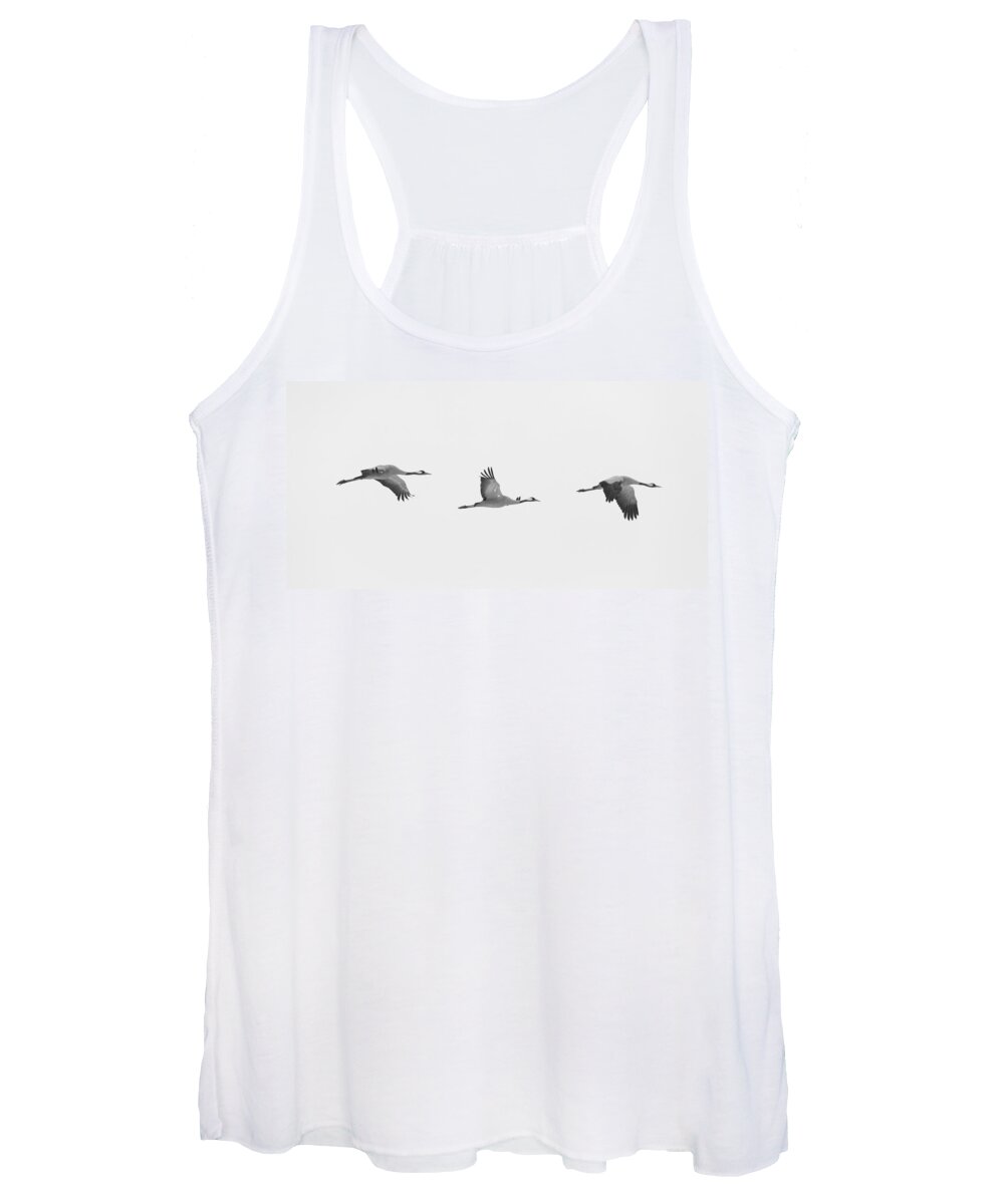 Common Crane Women's Tank Top featuring the photograph Three flying cranes by Ulrich Kunst And Bettina Scheidulin