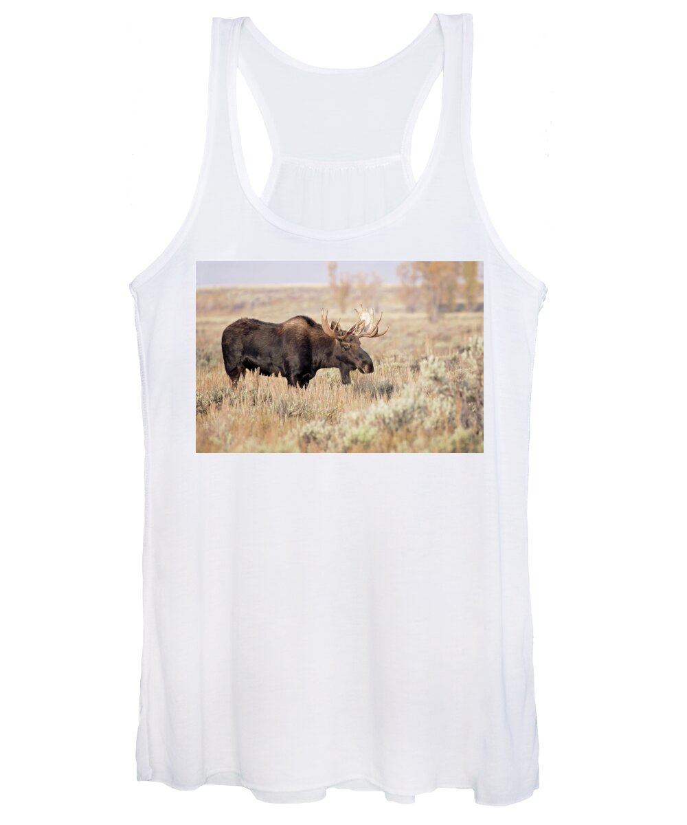 Moose Women's Tank Top featuring the photograph Bull Moose #1 by Eilish Palmer