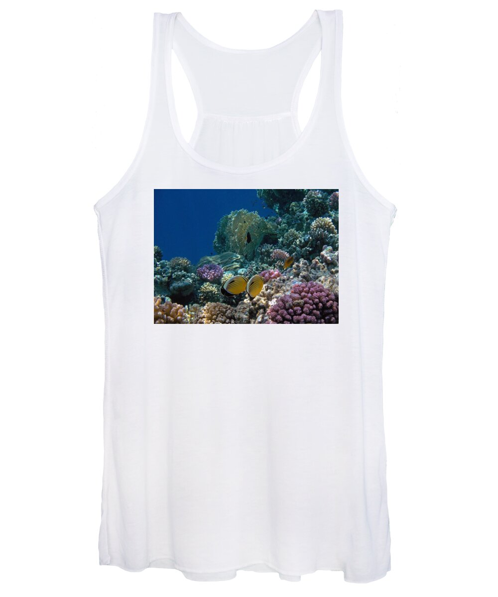 Sea Women's Tank Top featuring the photograph Exquisite Butterflyfish in the Red Sea by Johanna Hurmerinta