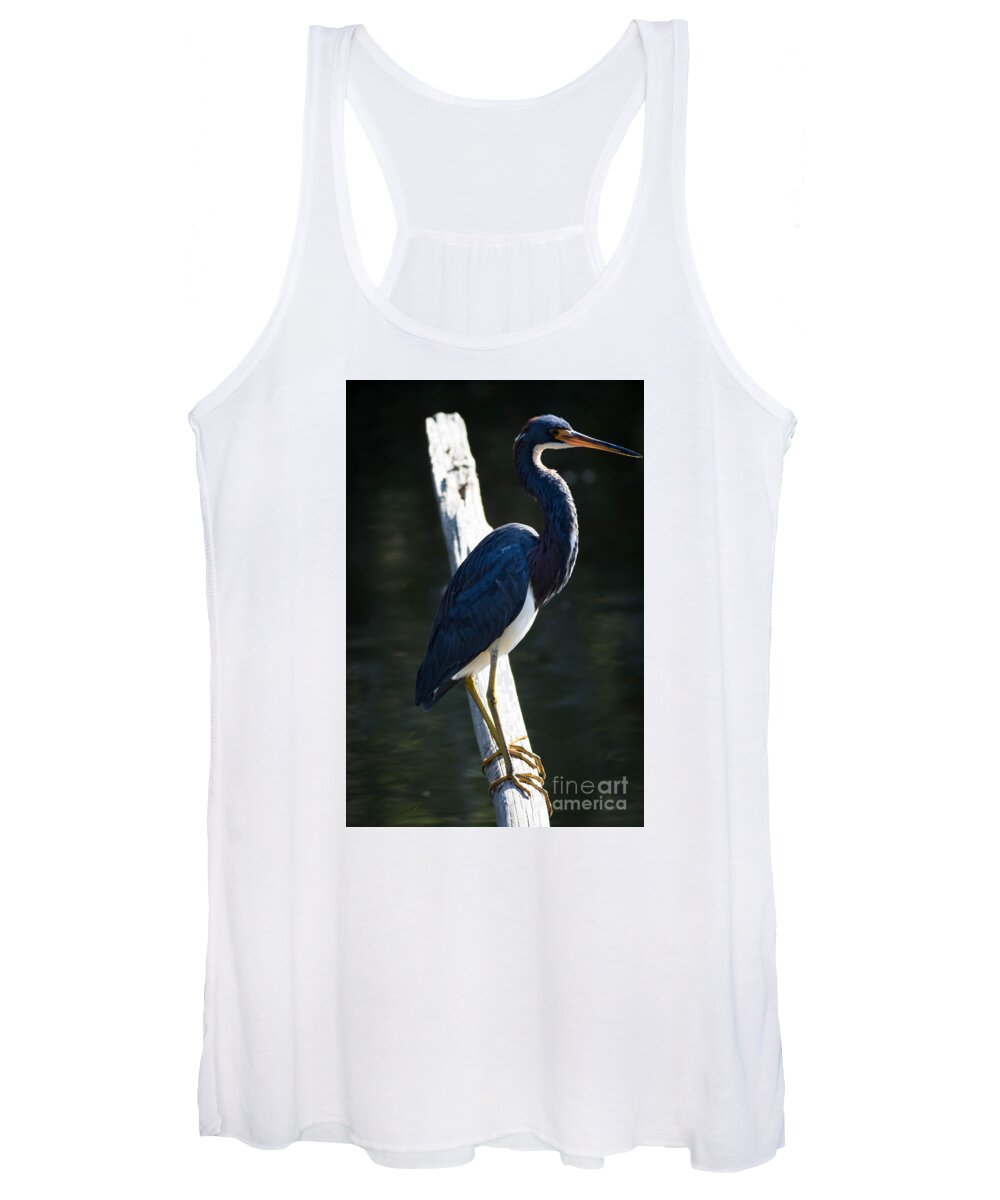 Nature Women's Tank Top featuring the photograph Tricolored Heron #1 by George Kenhan
