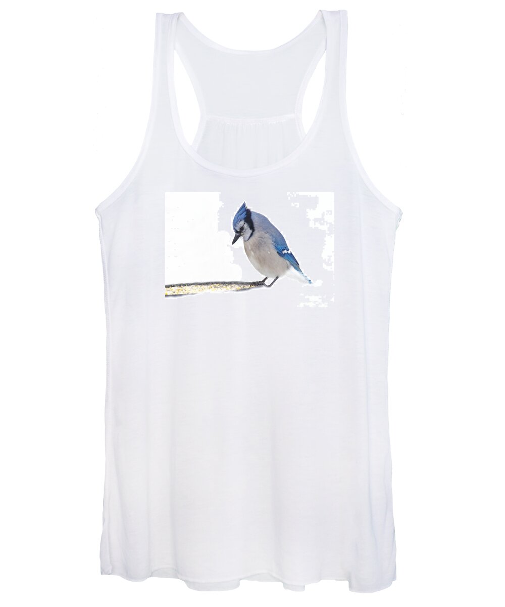 Blue Jay Women's Tank Top featuring the photograph Sitting Pretty #1 by Andrea Kollo