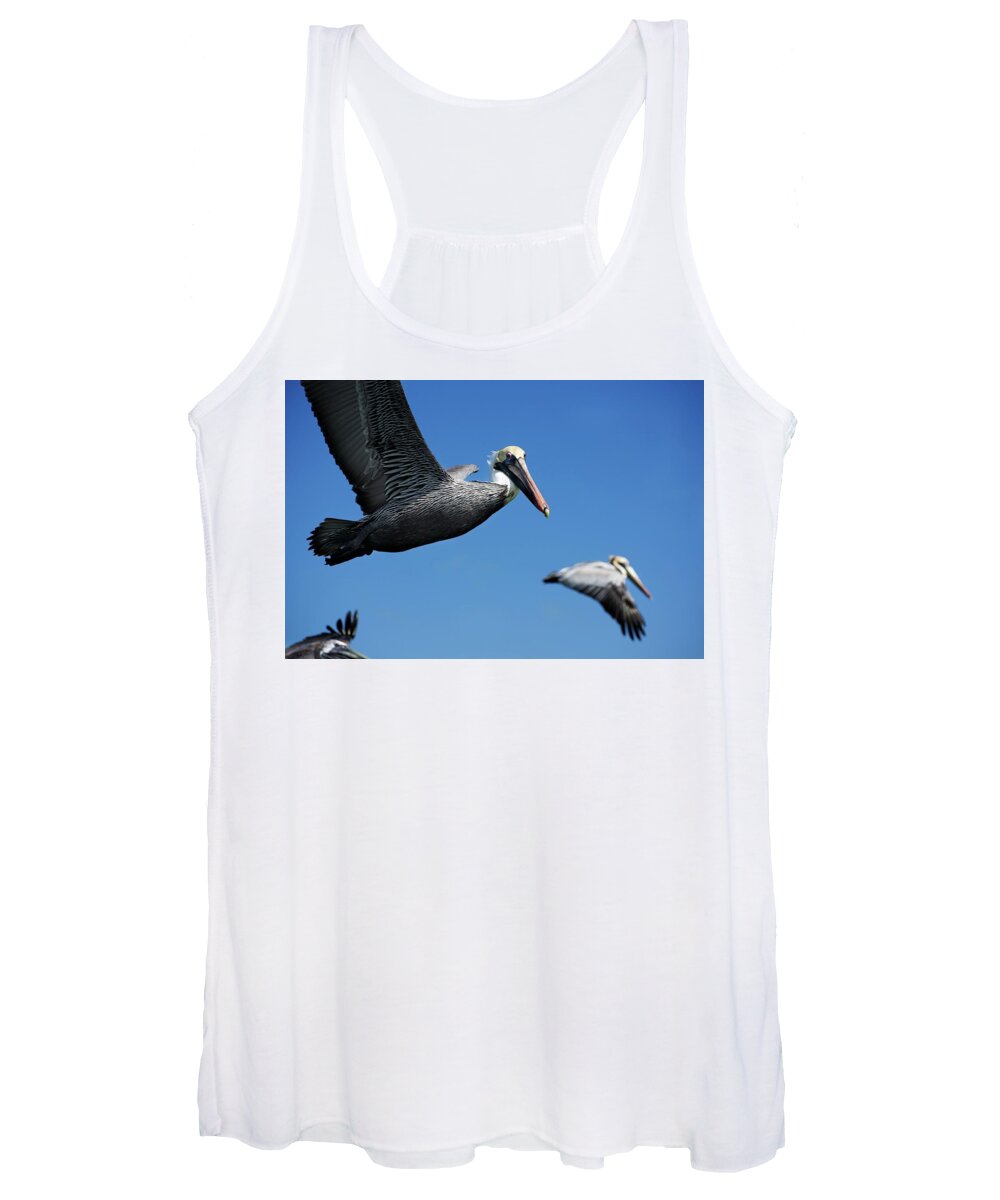 Birds Women's Tank Top featuring the photograph Wildlife in Mexico #8 by Robert Grac