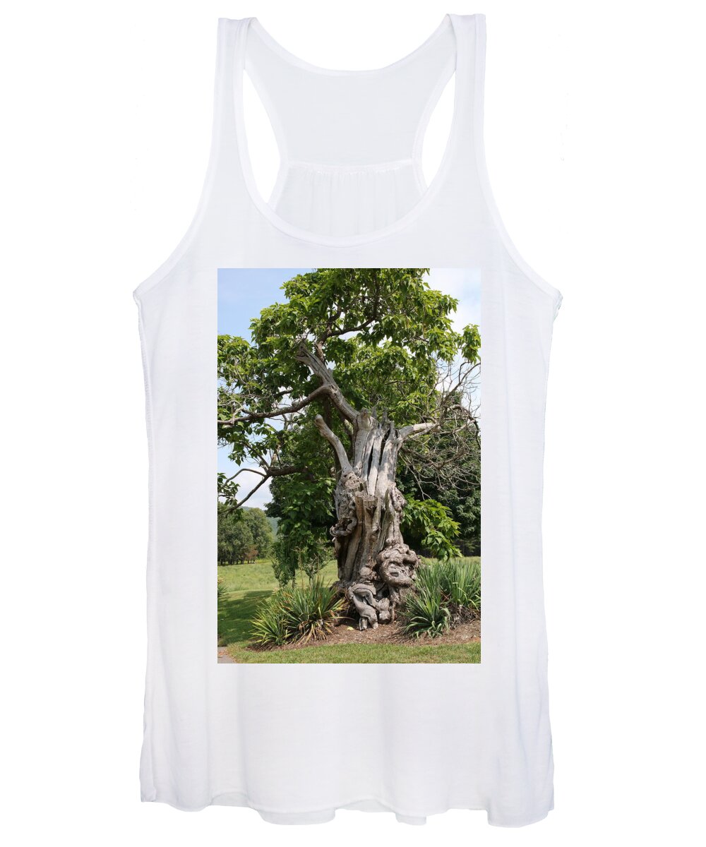 Tree Women's Tank Top featuring the photograph Abstract Tree by Rick Redman