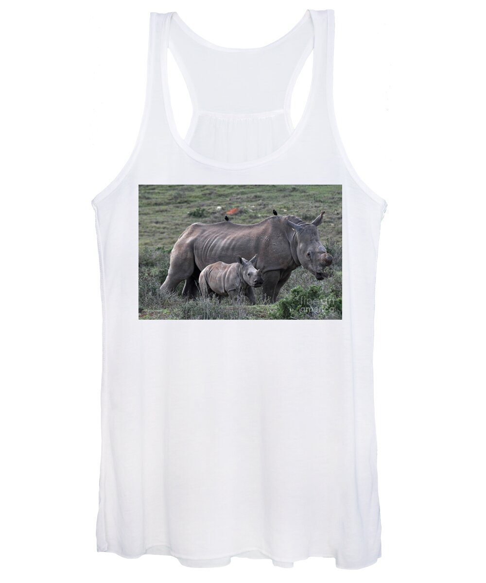 Kariega Game Reserve Women's Tank Top featuring the photograph African White Rhino and calf by Josephine Cohn