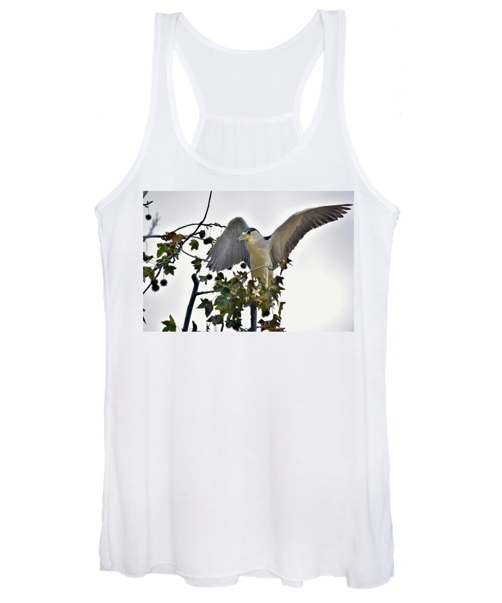 Linda Brody Women's Tank Top featuring the photograph Black Crowned Night Heron 1 by Linda Brody