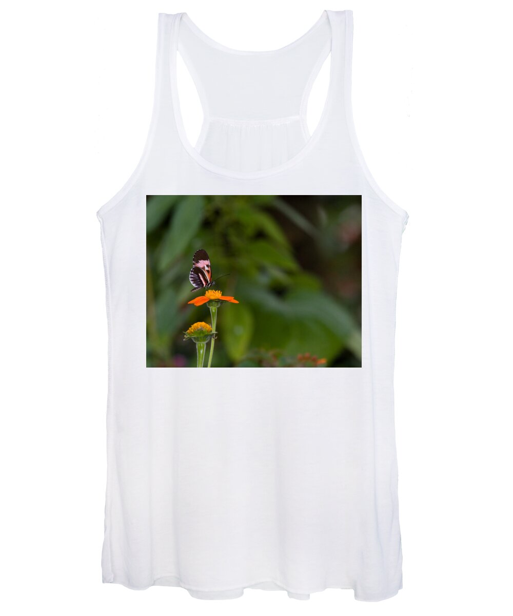 Butterfly Women's Tank Top featuring the photograph Butterfly 26 by Michael Fryd