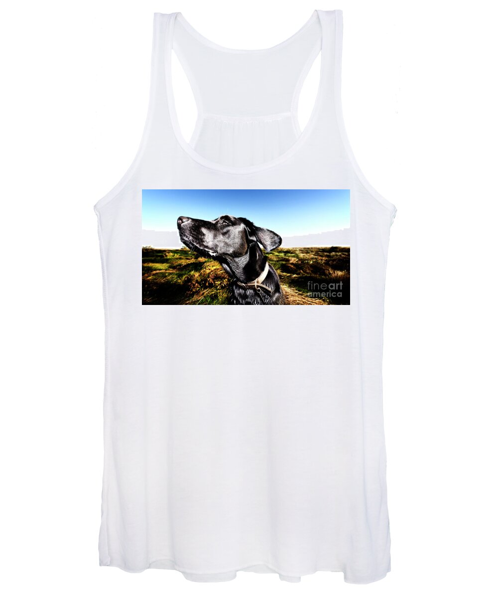 Black Lab Women's Tank Top featuring the photograph Catching the scent. by Phill Thornton