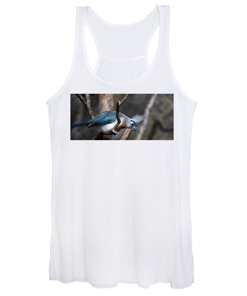 Birds Women's Tank Top featuring the photograph Crested Coua by Wendy Carrington