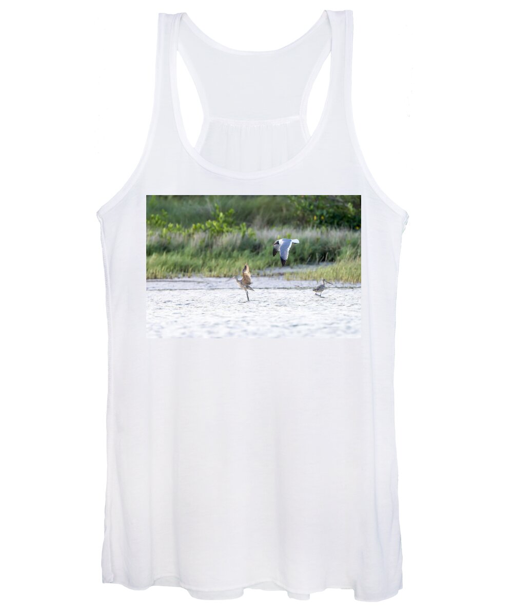 Long Billed Curlew Women's Tank Top featuring the photograph Crowded Shore by Todd Ryburn