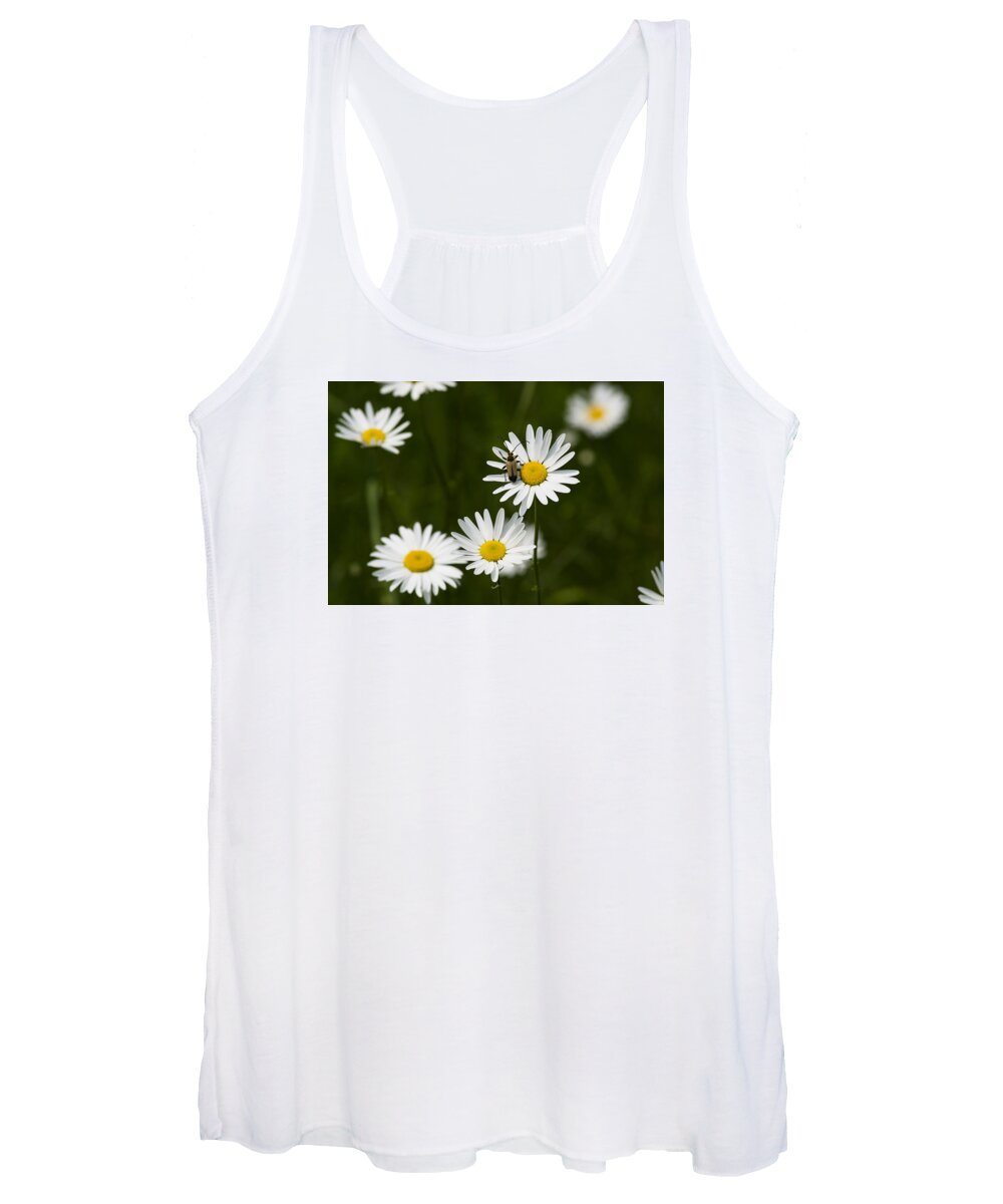  Women's Tank Top featuring the photograph Daisy visitor by Dan Hefle