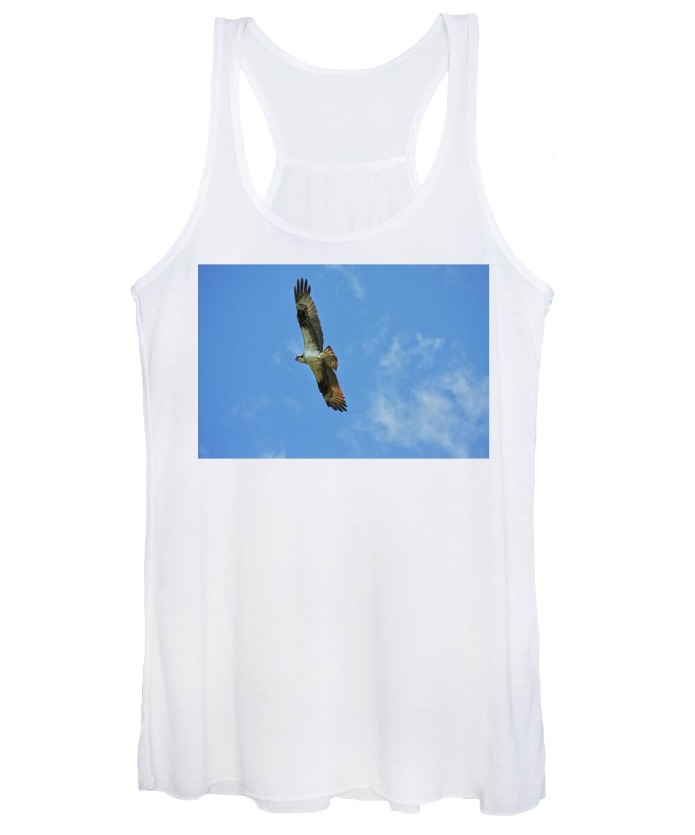 Osprey Women's Tank Top featuring the photograph Does he like me or hate me by Shawn M Greener