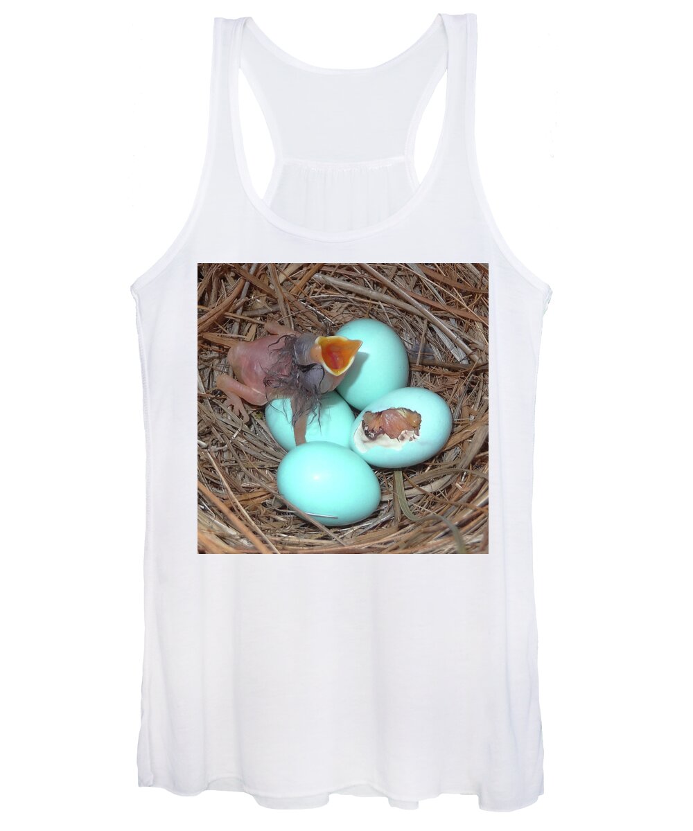 Bluebirds Women's Tank Top featuring the photograph Early Birds by Jerry Griffin
