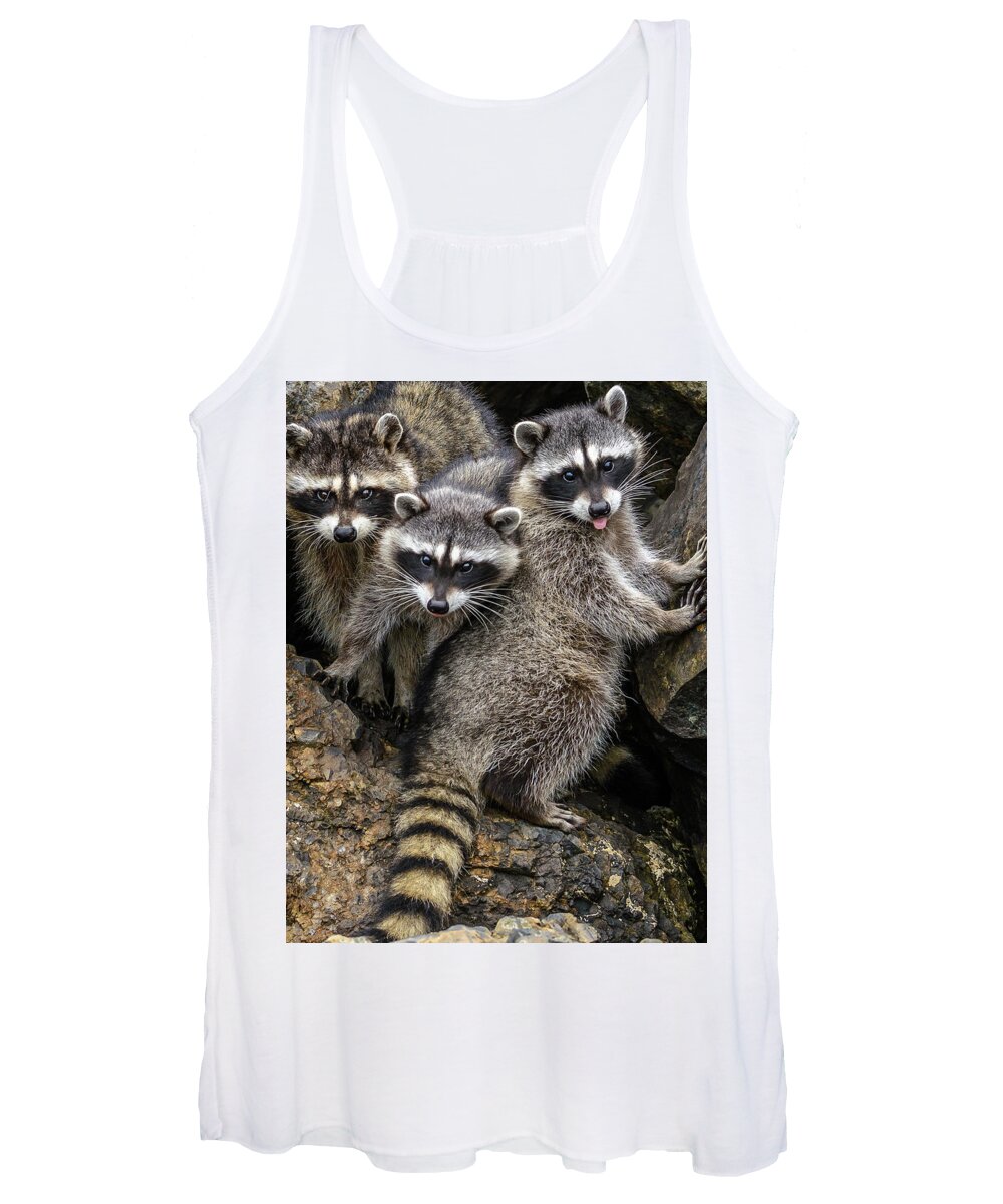 Raccon Women's Tank Top featuring the photograph Family Portrait by Jerry Cahill