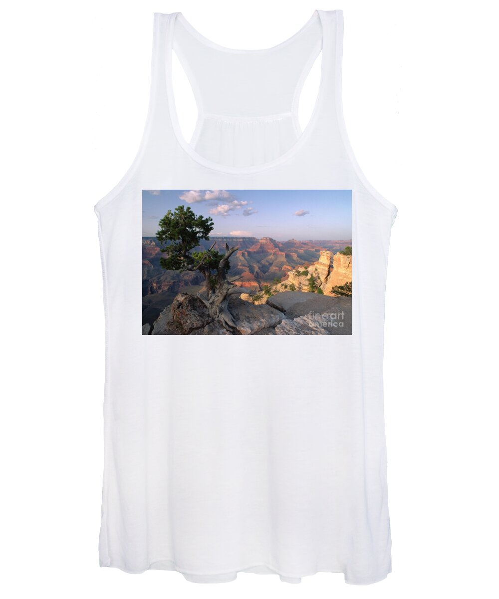 Grand Canyon Women's Tank Top featuring the photograph Grand Canyon, late afternoon by Kevin Shields