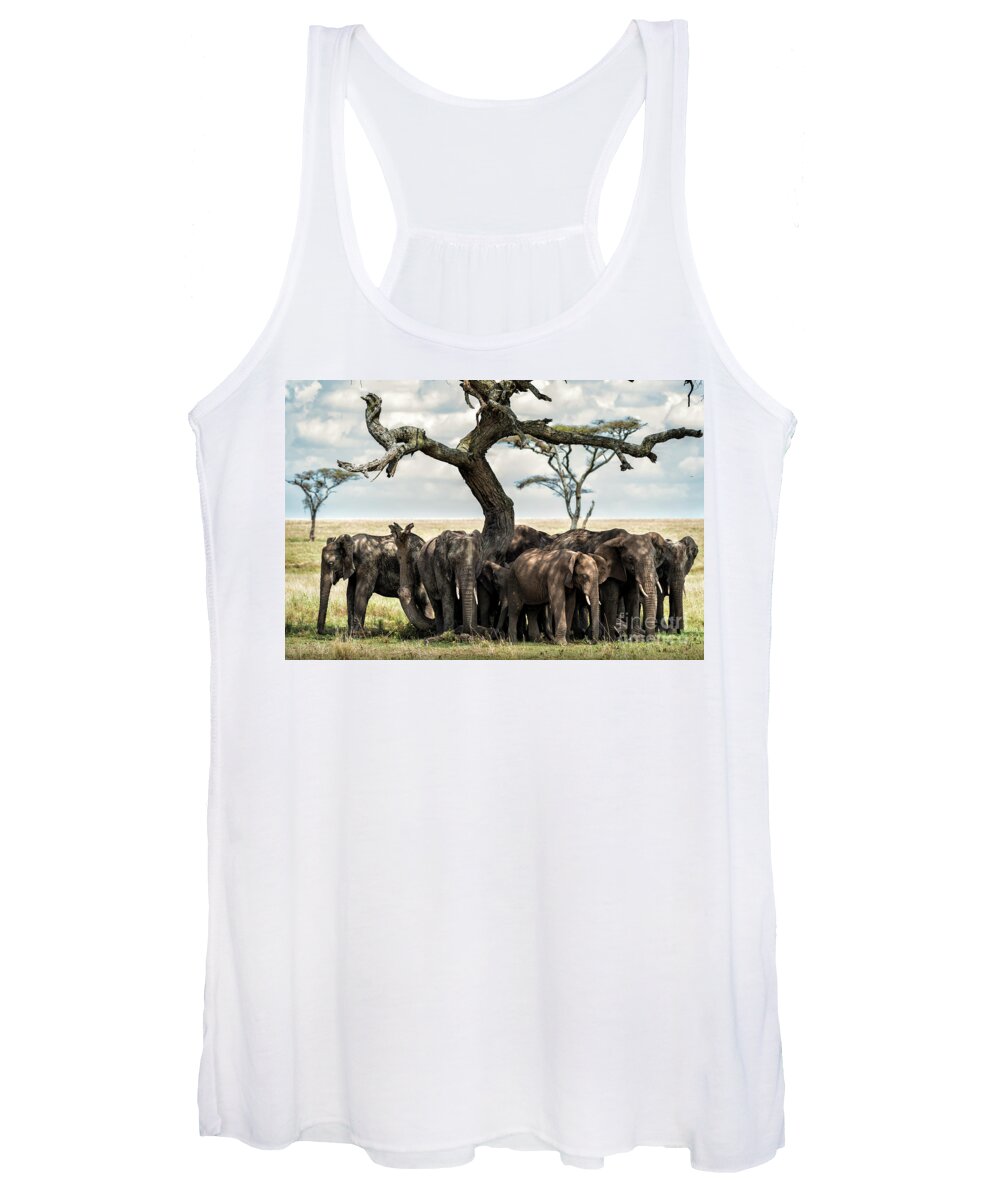 Elephants Women's Tank Top featuring the photograph Herd of elephants under a tree in Serengeti by RicardMN Photography