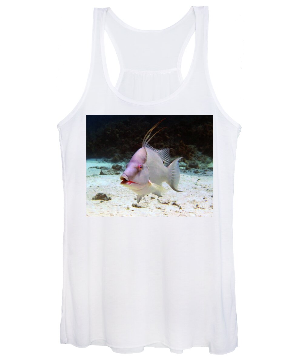Underwater Women's Tank Top featuring the photograph Hogfish by Daryl Duda