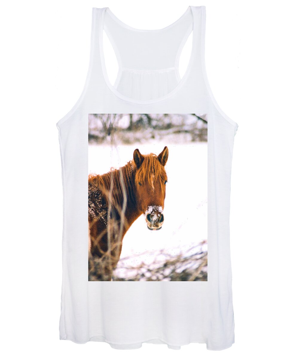 Horse Women's Tank Top featuring the photograph Horse in winter by Steve Karol