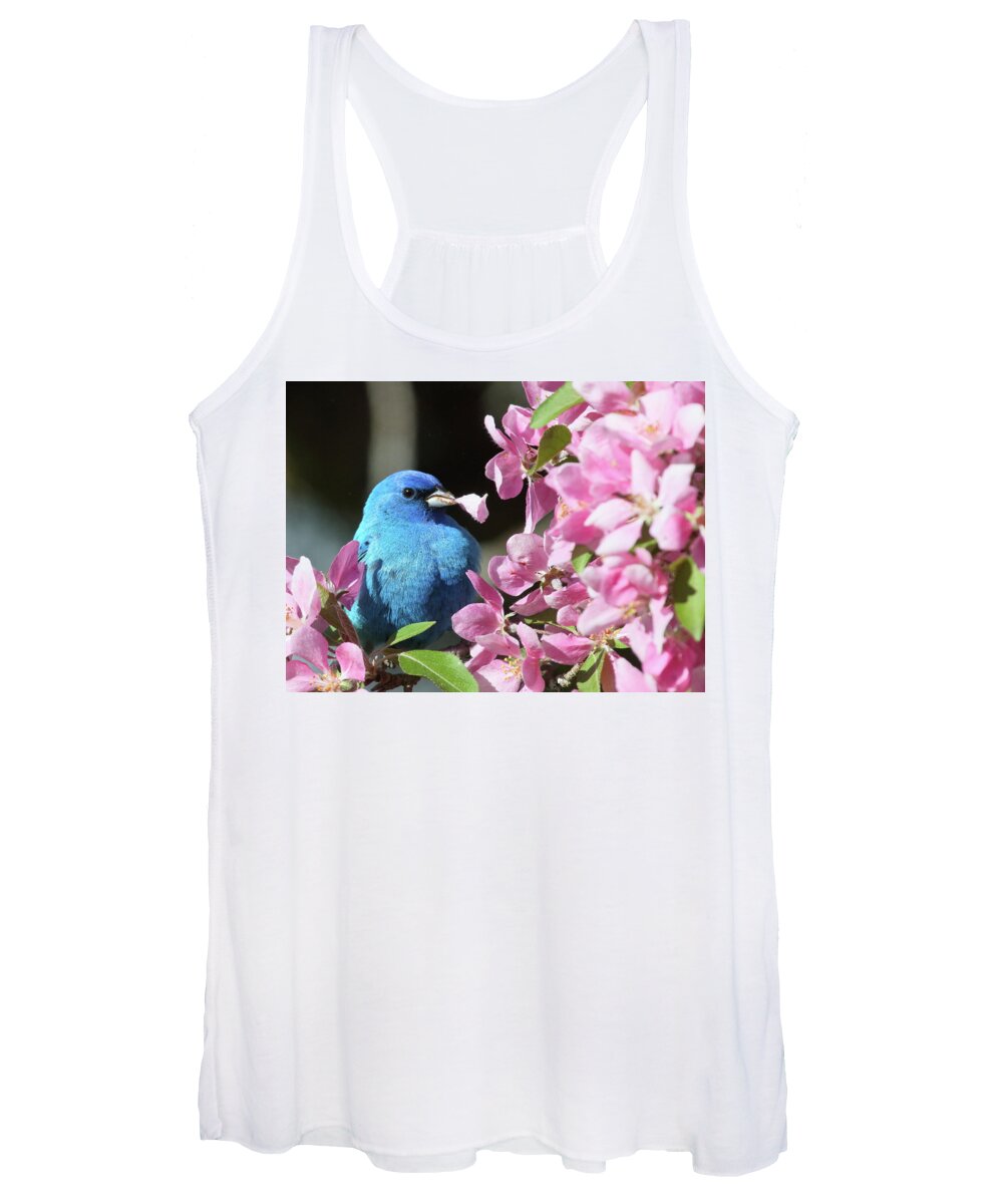 Indigo Bunting Women's Tank Top featuring the photograph Indigo Bunting with a Flower Petal by Duane Cross
