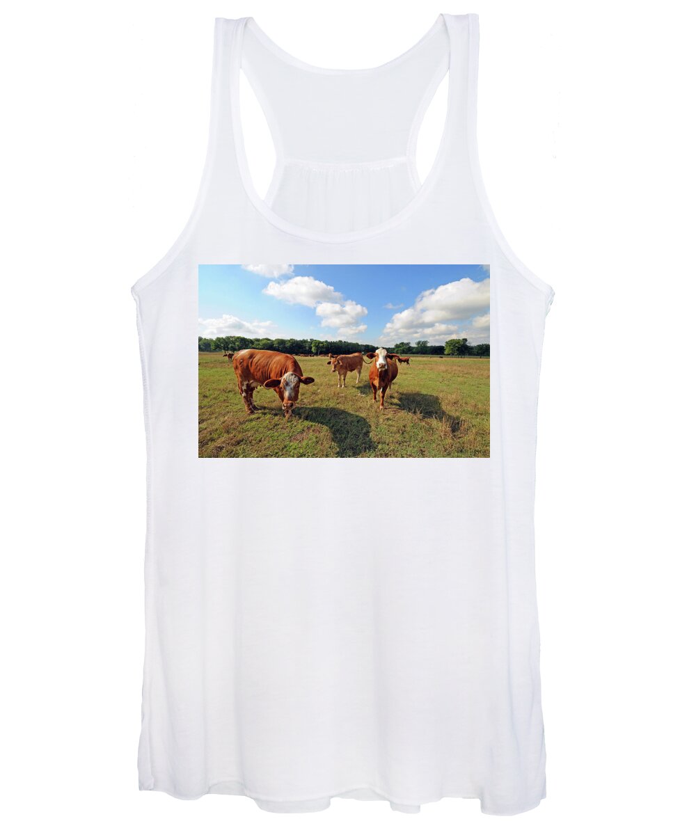 Inquisitive Women's Tank Top featuring the photograph Inquisitive Cattle by Ted Keller