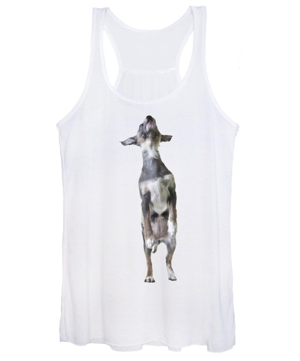 Dog Women's Tank Top featuring the photograph Jumping Dog Tee by Edward Fielding