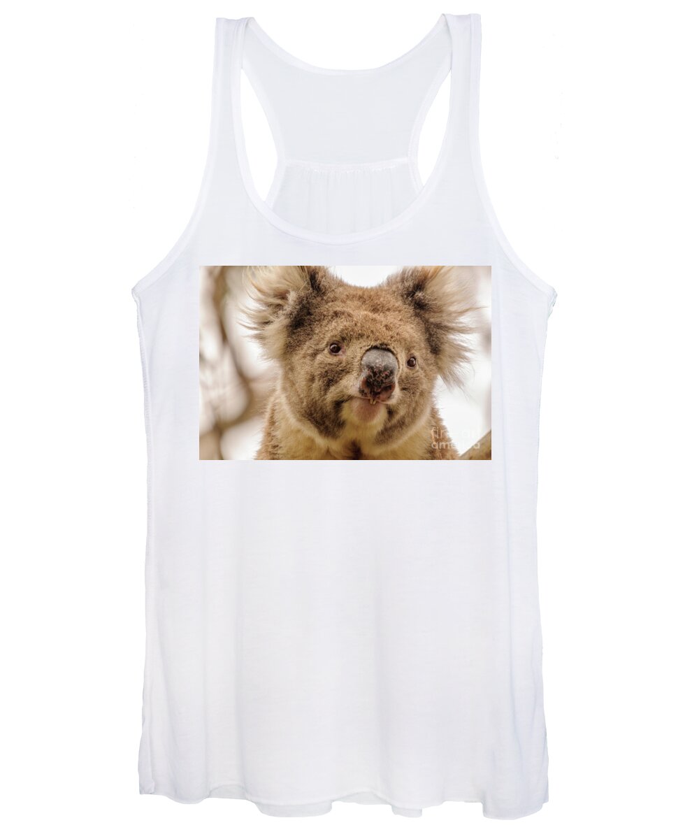 Koala Women's Tank Top featuring the photograph Koala 4 by Werner Padarin