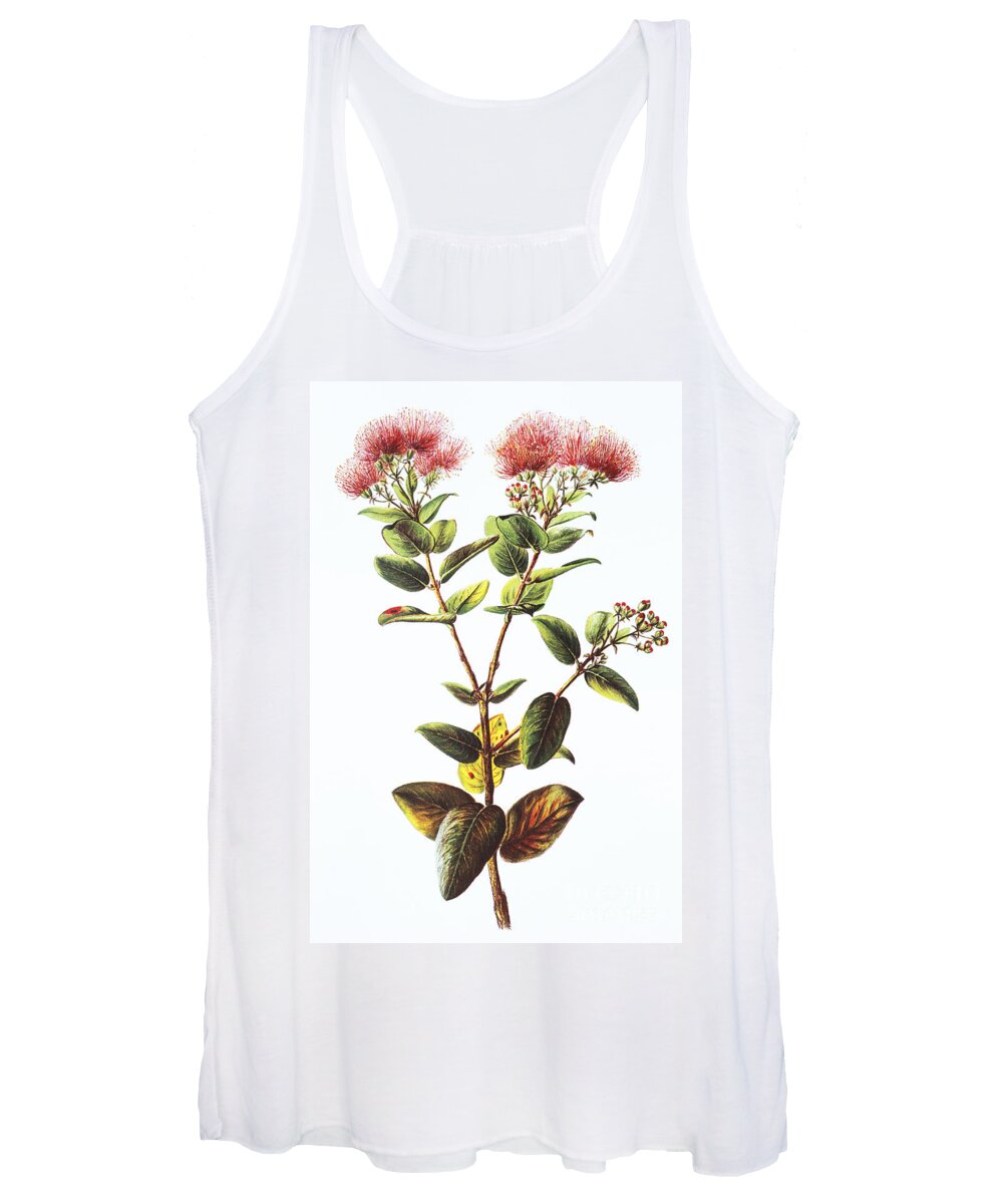 1885 Women's Tank Top featuring the painting Lehua Ohia Art by Hawaiian Legacy Archive - Printscapes