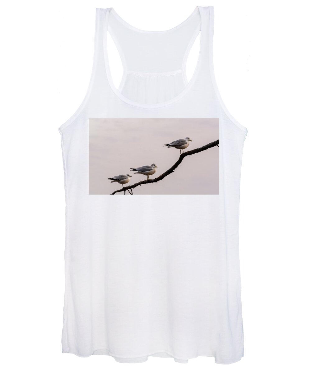 Nature Women's Tank Top featuring the photograph Line-up by Robert Mitchell