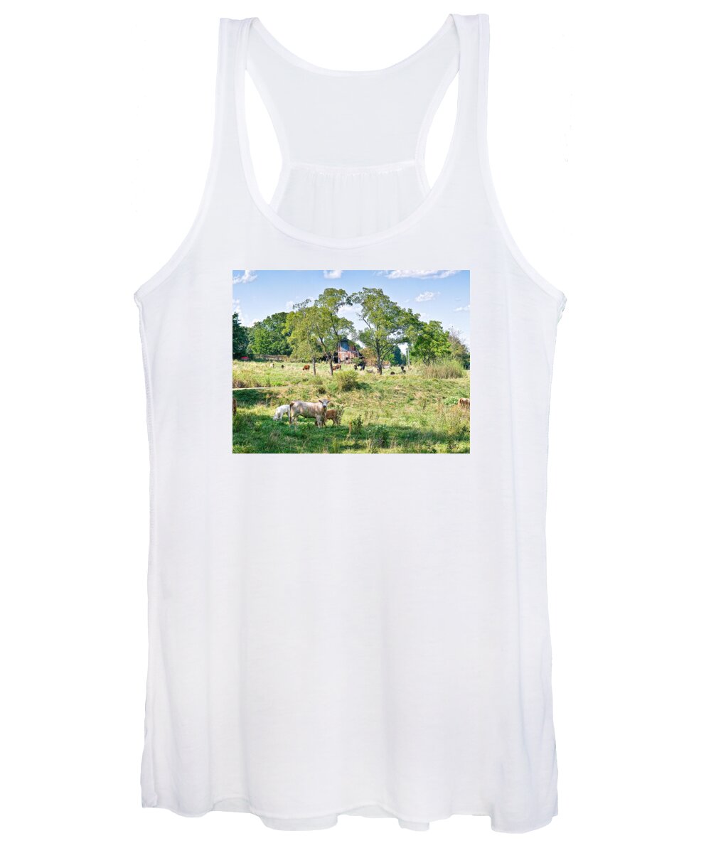 Cows Women's Tank Top featuring the photograph Midwest Cattle Ranch by Scott Hansen